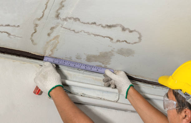 Reliable Mold Remediation contractor in Salina, KS by Local Water Damage Repair